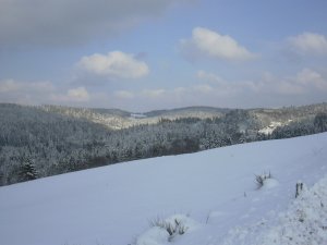 vigotte M Andre